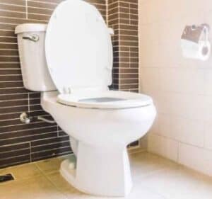 Glacier Bay Toilet Problems