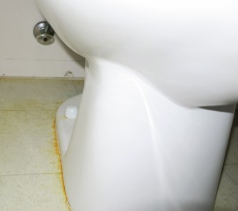 Pee around base of toilet