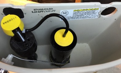Kohler canister flush valve problems