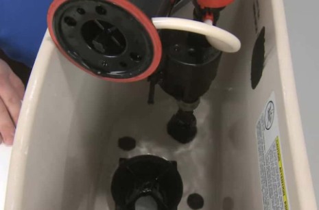 Kohler canister flush valve repair