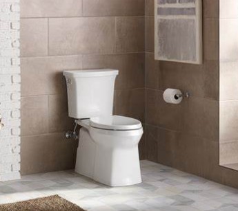 Kohler toilet dual flush problems