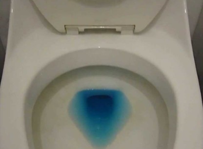 Kohler toilet flush valve problems