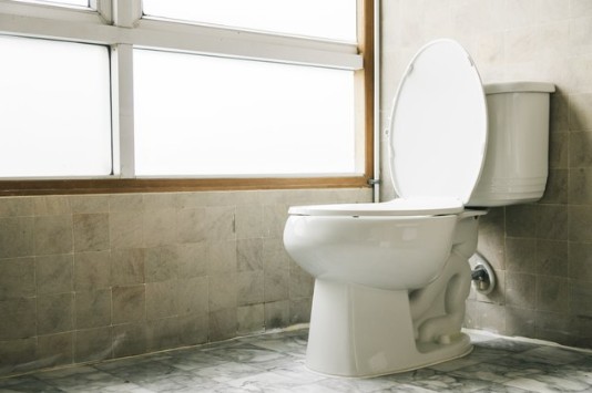 Glacier Bay 1-piece toilet review