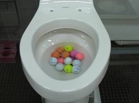 Toilet flushes golf balls video