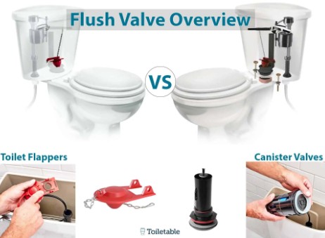 Canister Flush Valve Vs Flapper