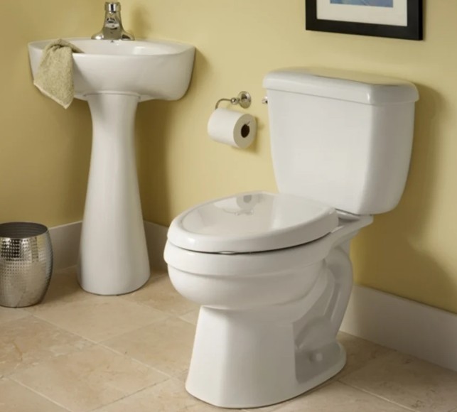 American standard titan toilet reviews